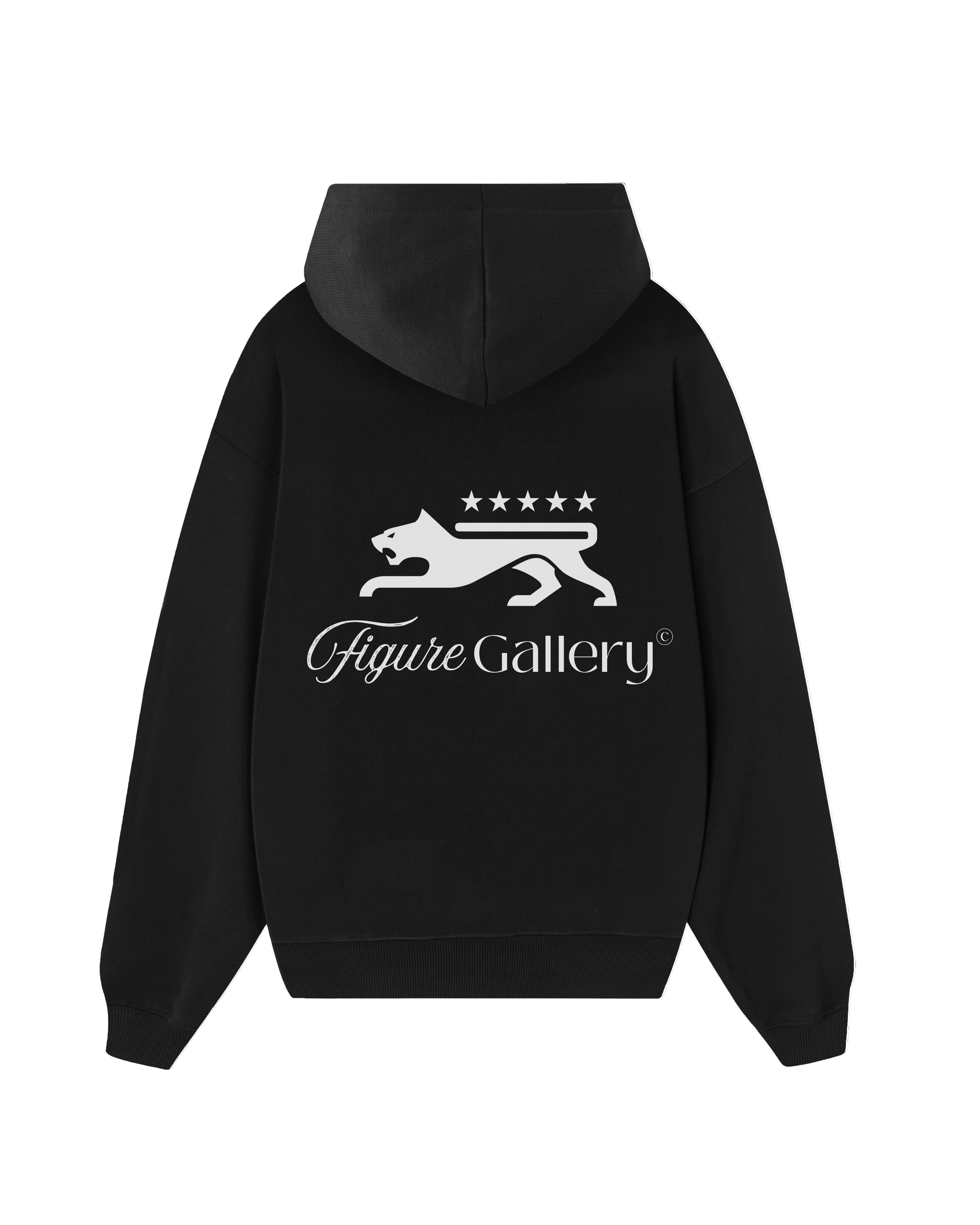 Figure Gallery Hoodie